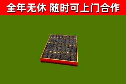 巨鹿县回收海参